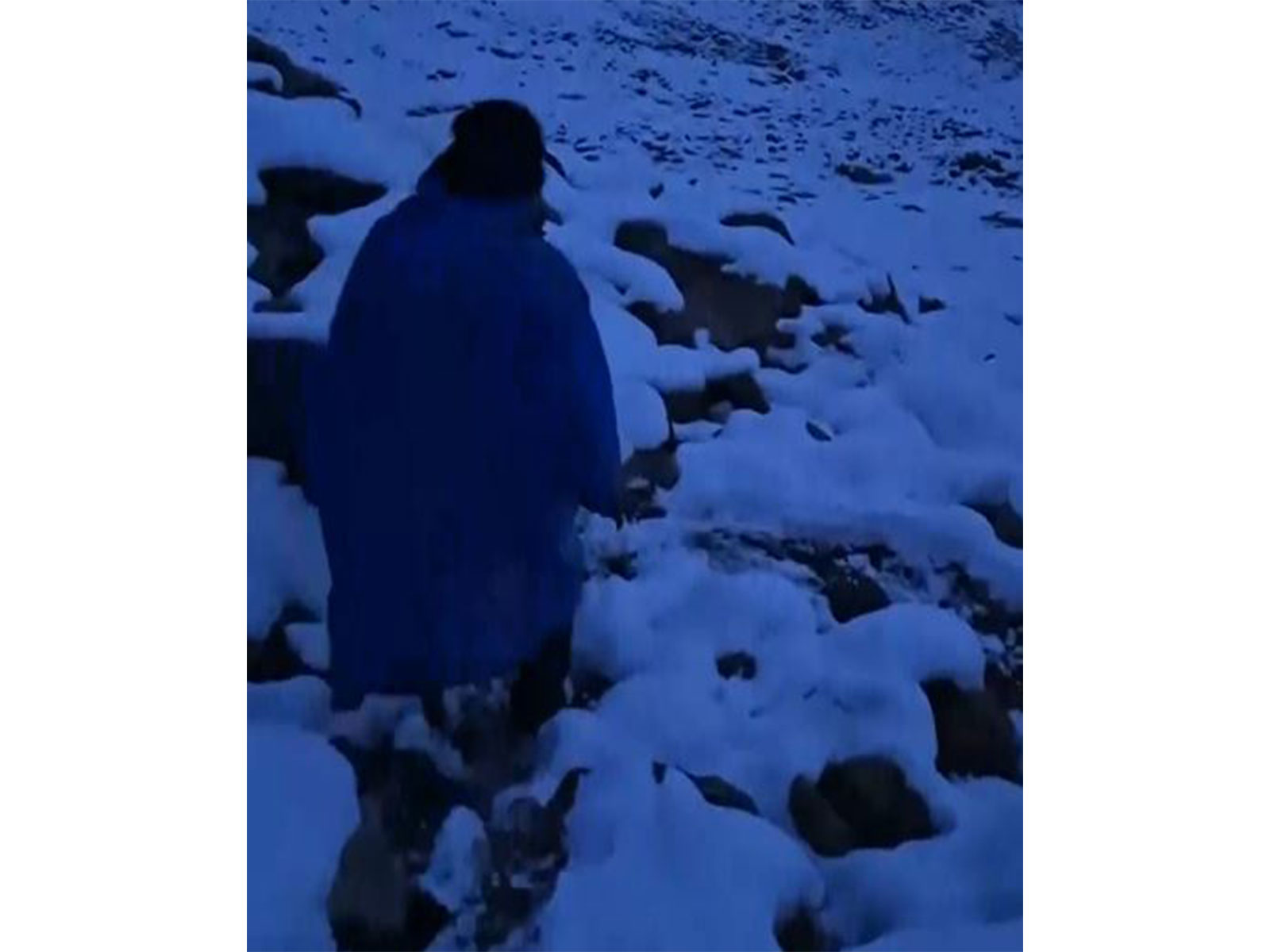 ITBP rescue stranded 12-member expedition team from Kinnaur (Photo/ANI)