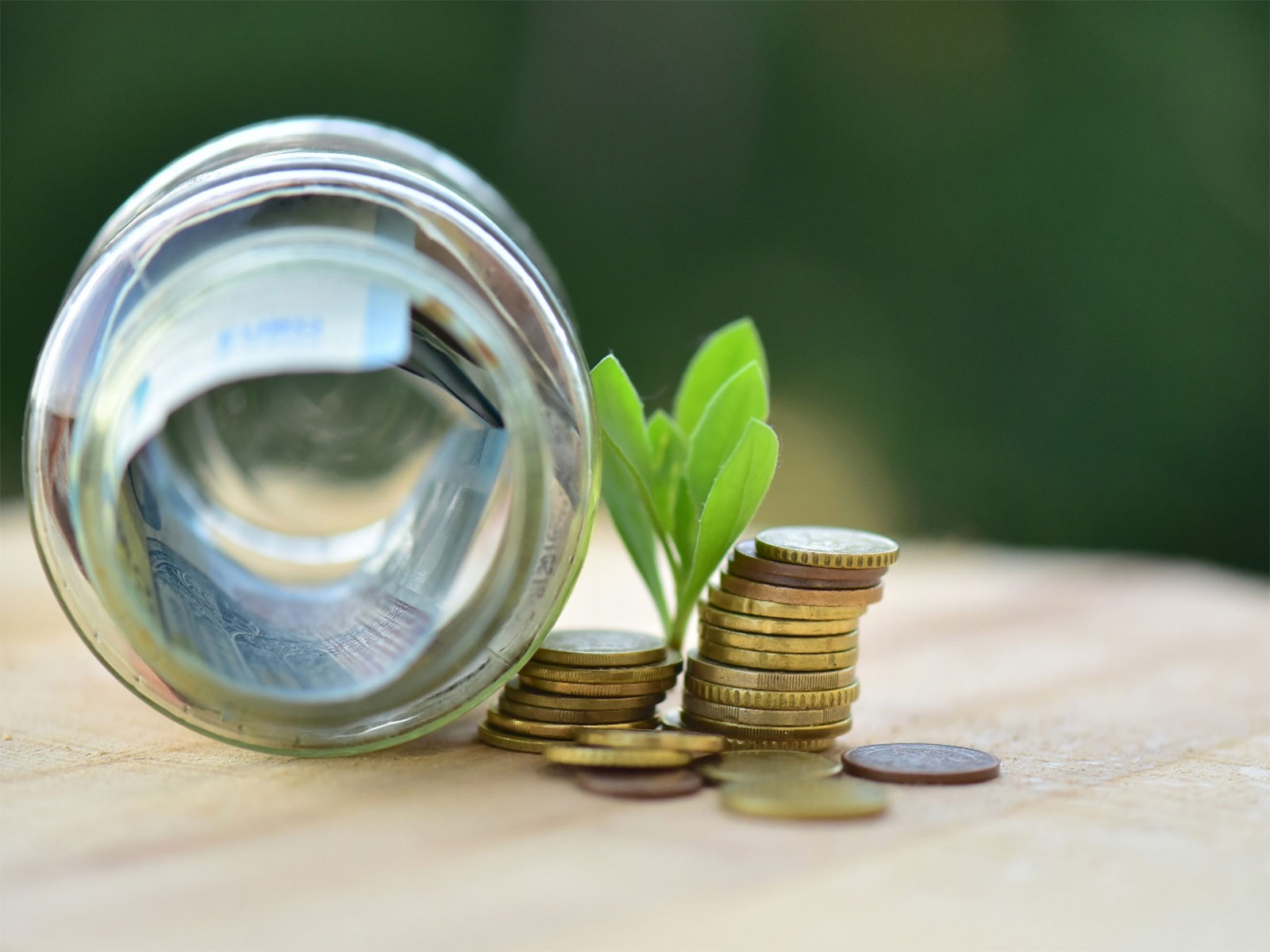 ICICI Prudential Flexi Cap Fund Completes Five Years: What Does the Journey Tell Investors?