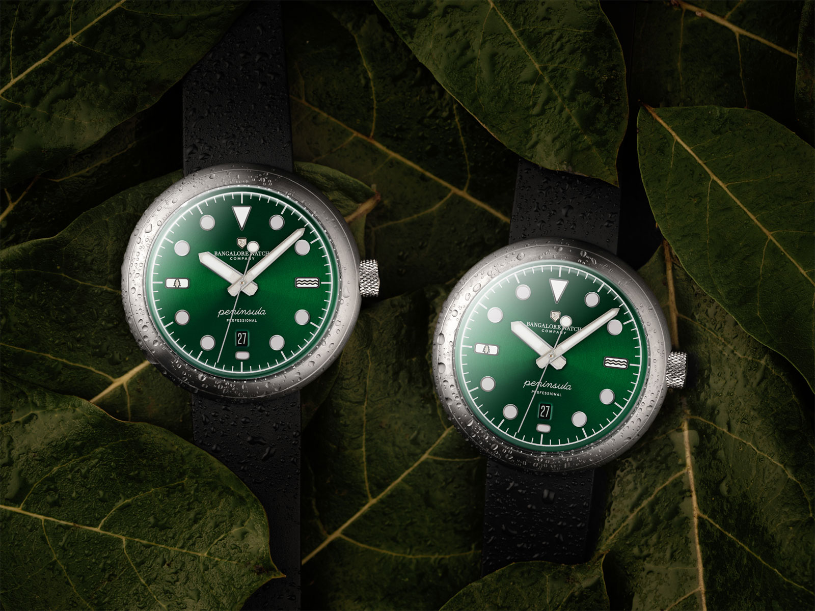 Bangalore Watch Company