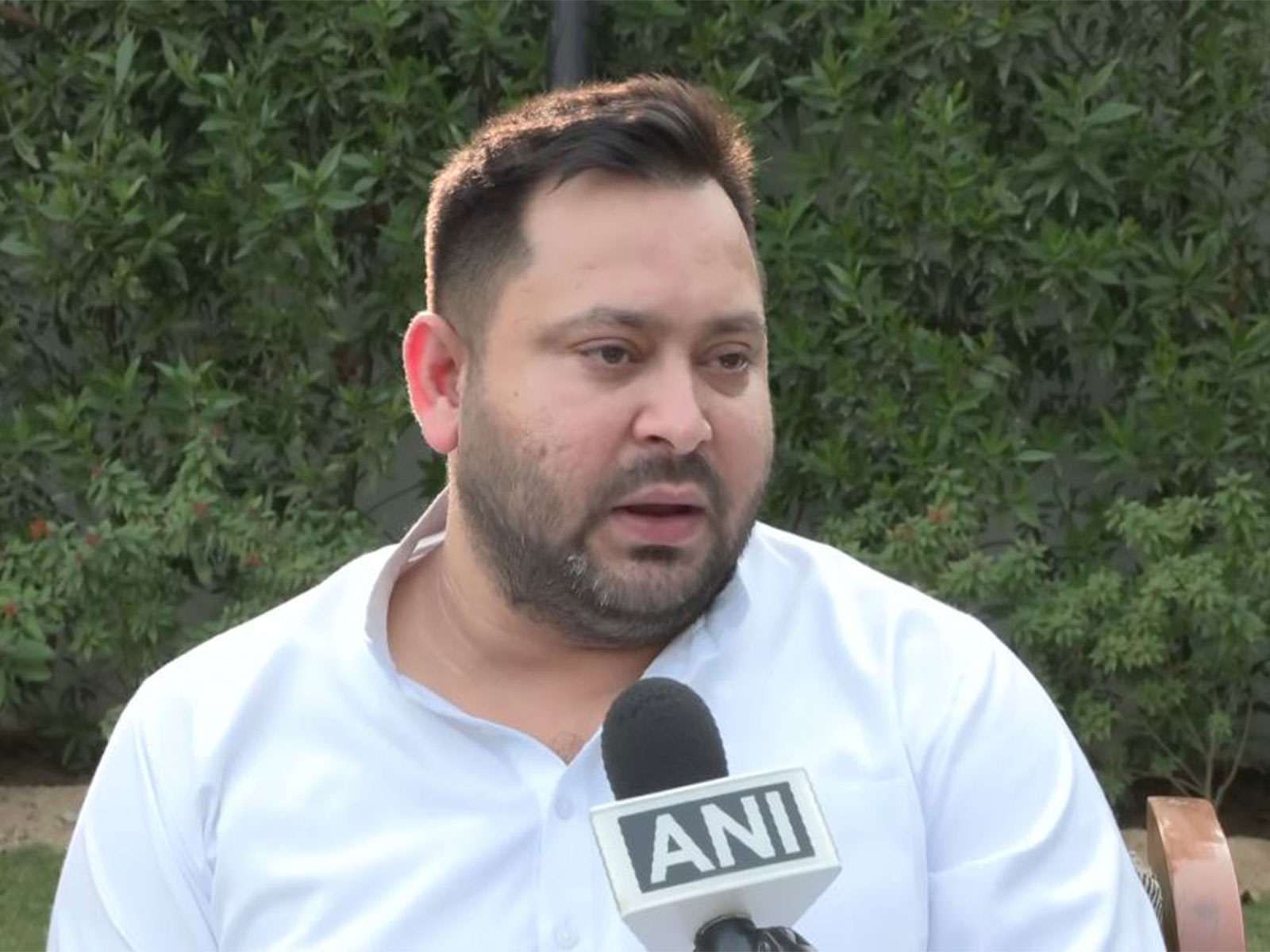 RJD leader Tejashwi Yadav (Photo/ANI)