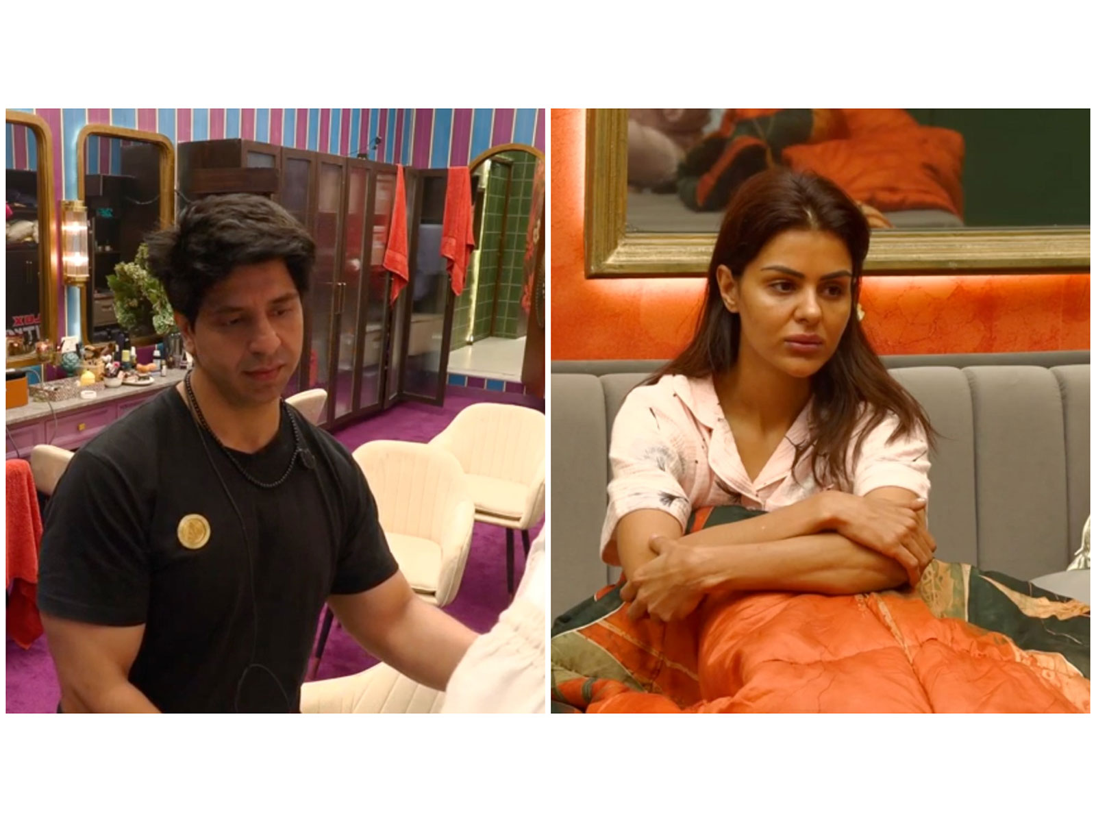 Shehzad Poonawalla (L) Priyanka Chahar (R) (Photo/Rise and Fall 2)