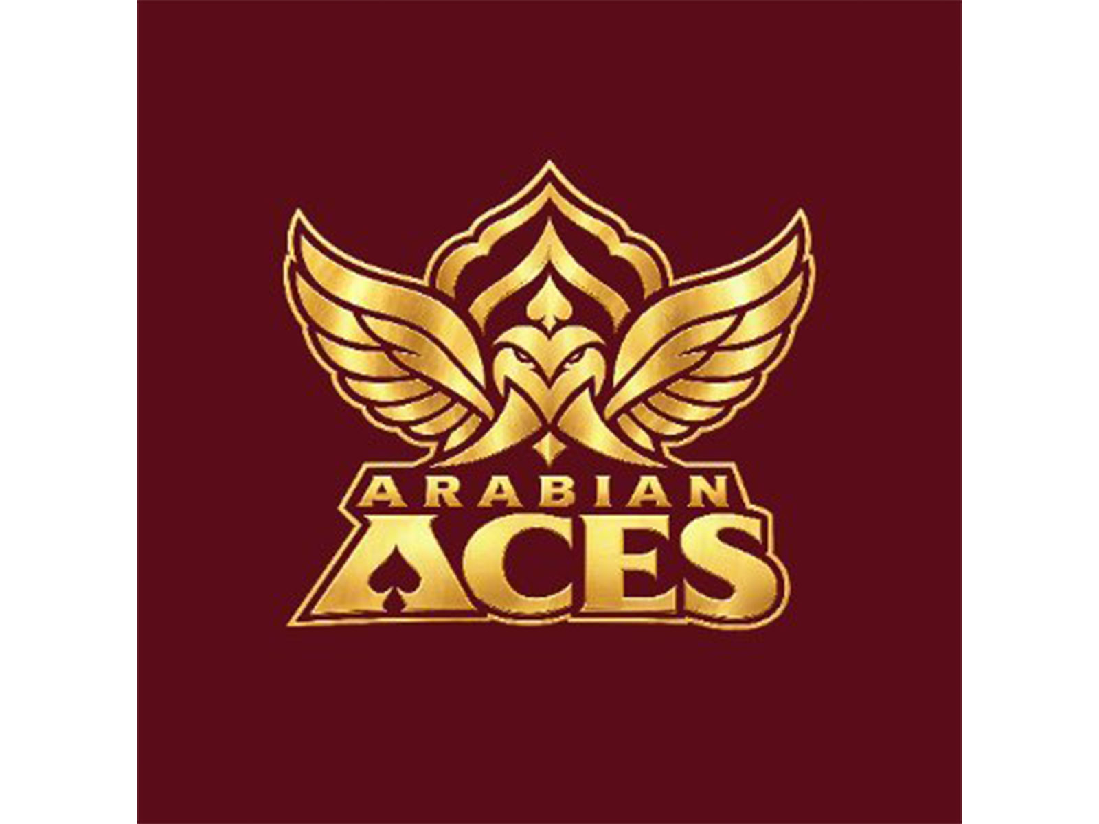 Arabian Aces logo (Photo: X/@arabianacesT10)