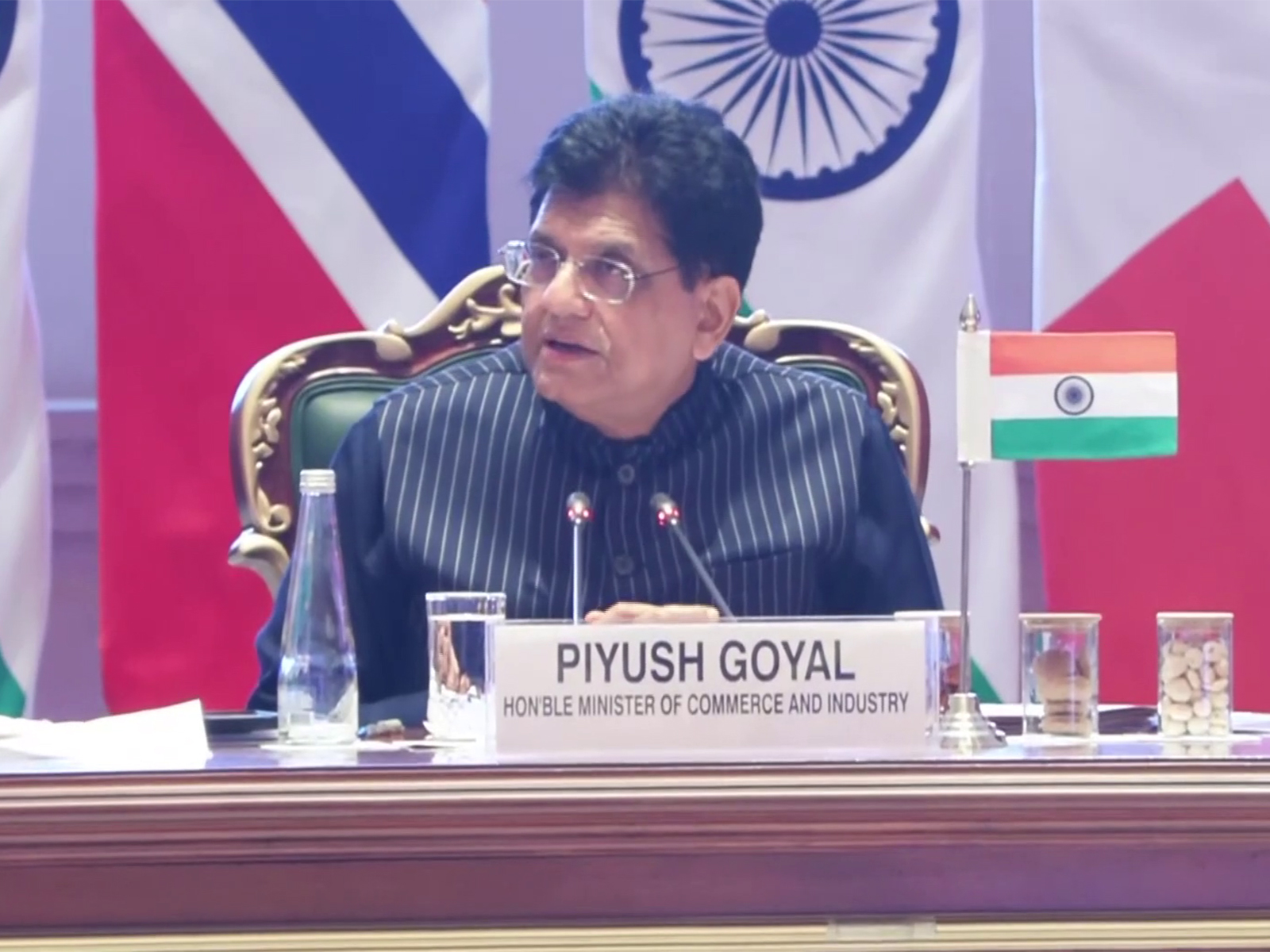 Union Commerce and Industry Minister Piyush Goyal (File Photo/ANI)