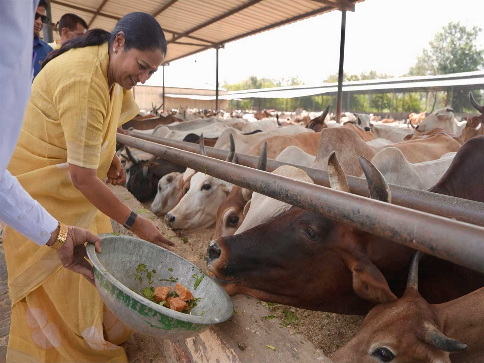 Delhi Chief Minister Rekha Gupta (Photo/@gupta_rekha)