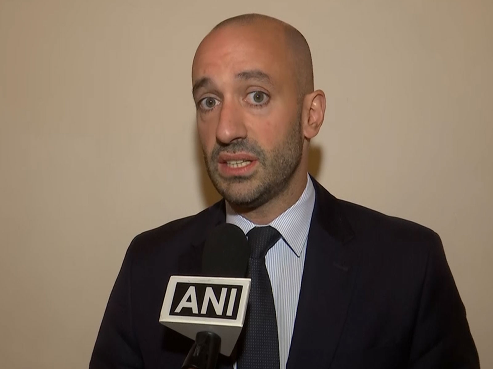 Benjamin Haddad, French Minister Delegate for European Affairs (Photo/ANI)