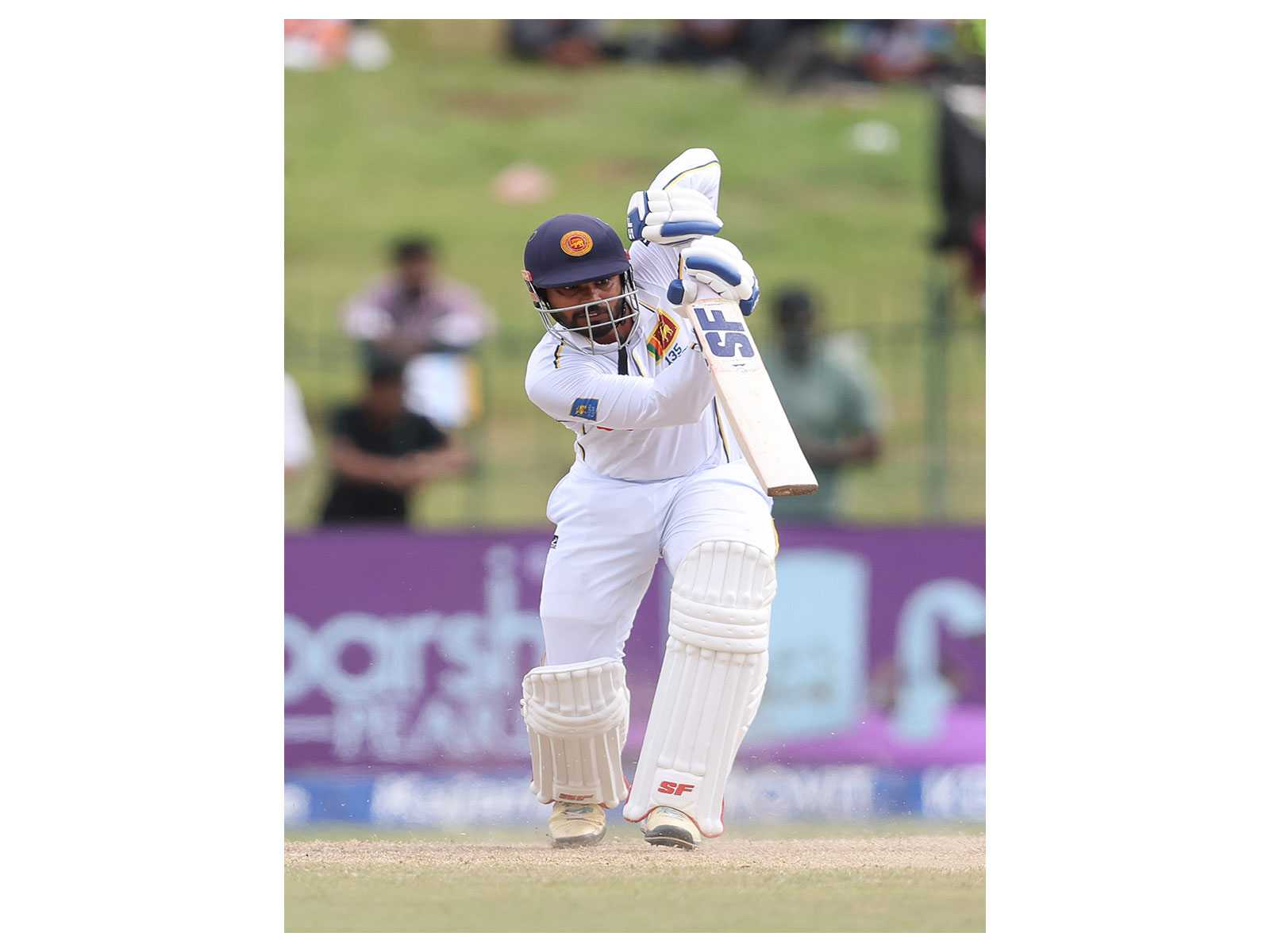 Dhananjaya de Silva (Photo: ANI)