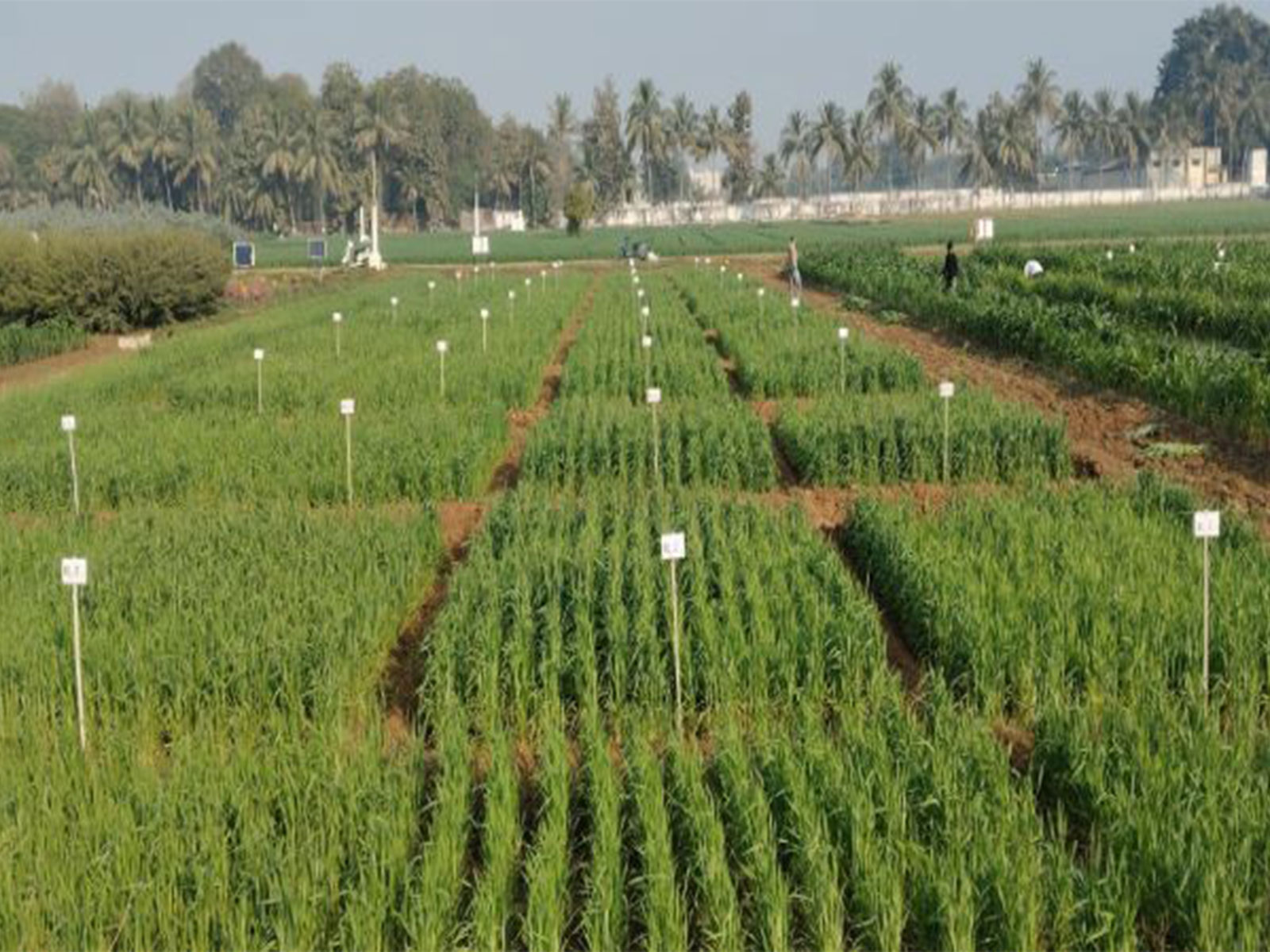 Gujarat State Biotechnology Mission, AAU to sign MoU (Photo/Gujarat govt)