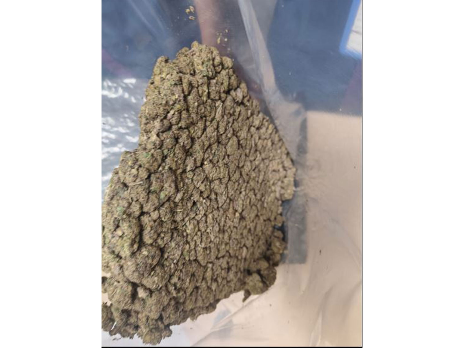 Suspected marijuana worth Rs 4.5 crore seized at IGI Airport (Photo/Delhi Customs (Airport & General))