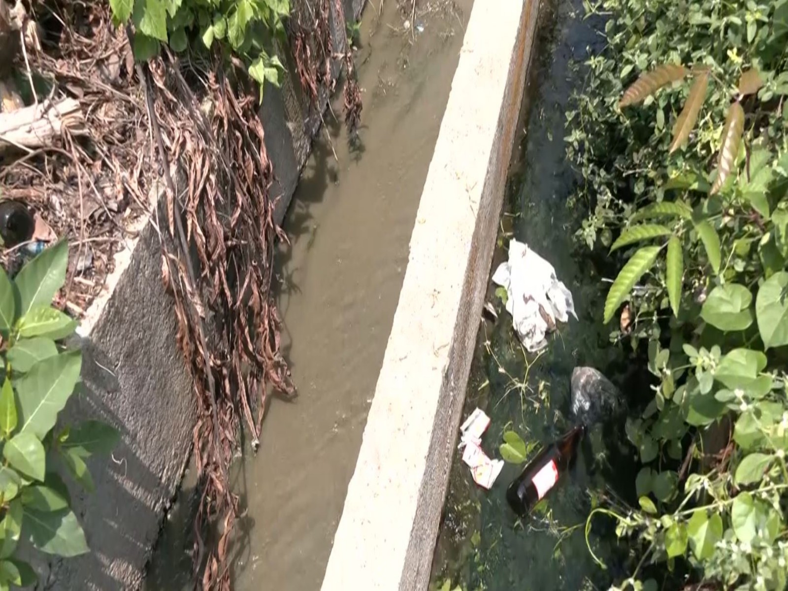 Sewage issues plague residents of Udupi (Photo: ANI)