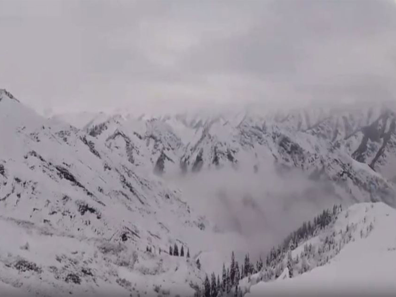 Snowfall in J&K's Gurez-Tulail (Photo/ANI)