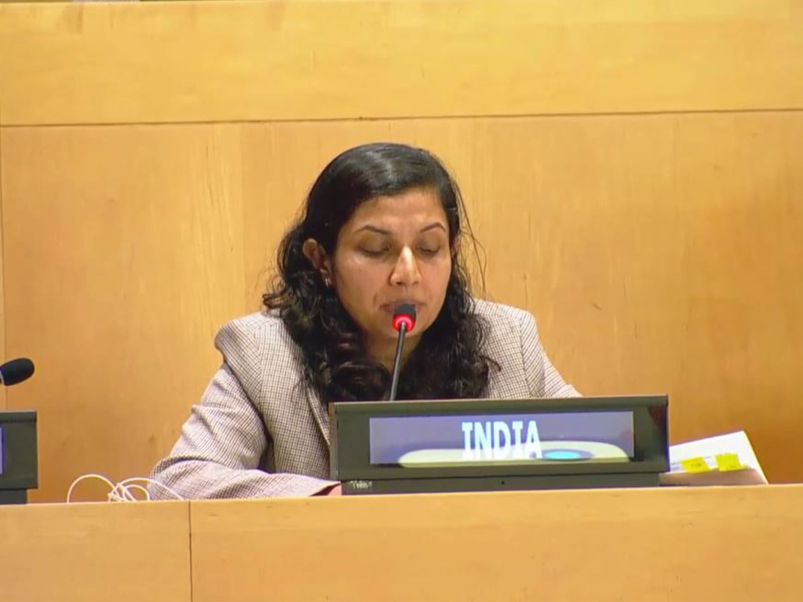 Soumya Nair, Counsellor at India's Permanent Mission to the United Nations (Photo/X/@IndiaUNNewYork)