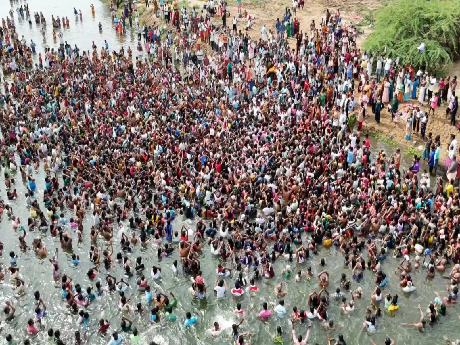 Thousands take holy dip in Akhanda Cauvery for Aippasi Thula Snanam (Photo: ANI)
