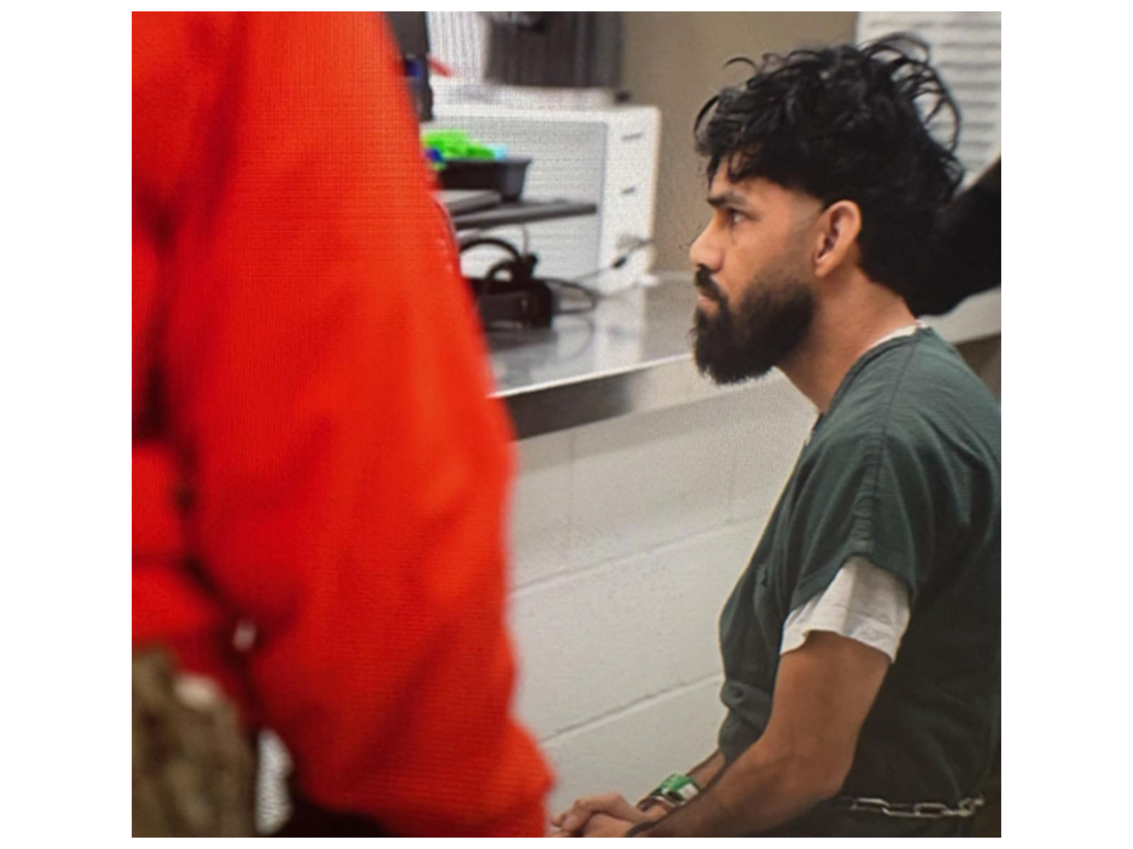 Rajinder Kumar, the accused truck driver (Photo/X/@ICEgov)