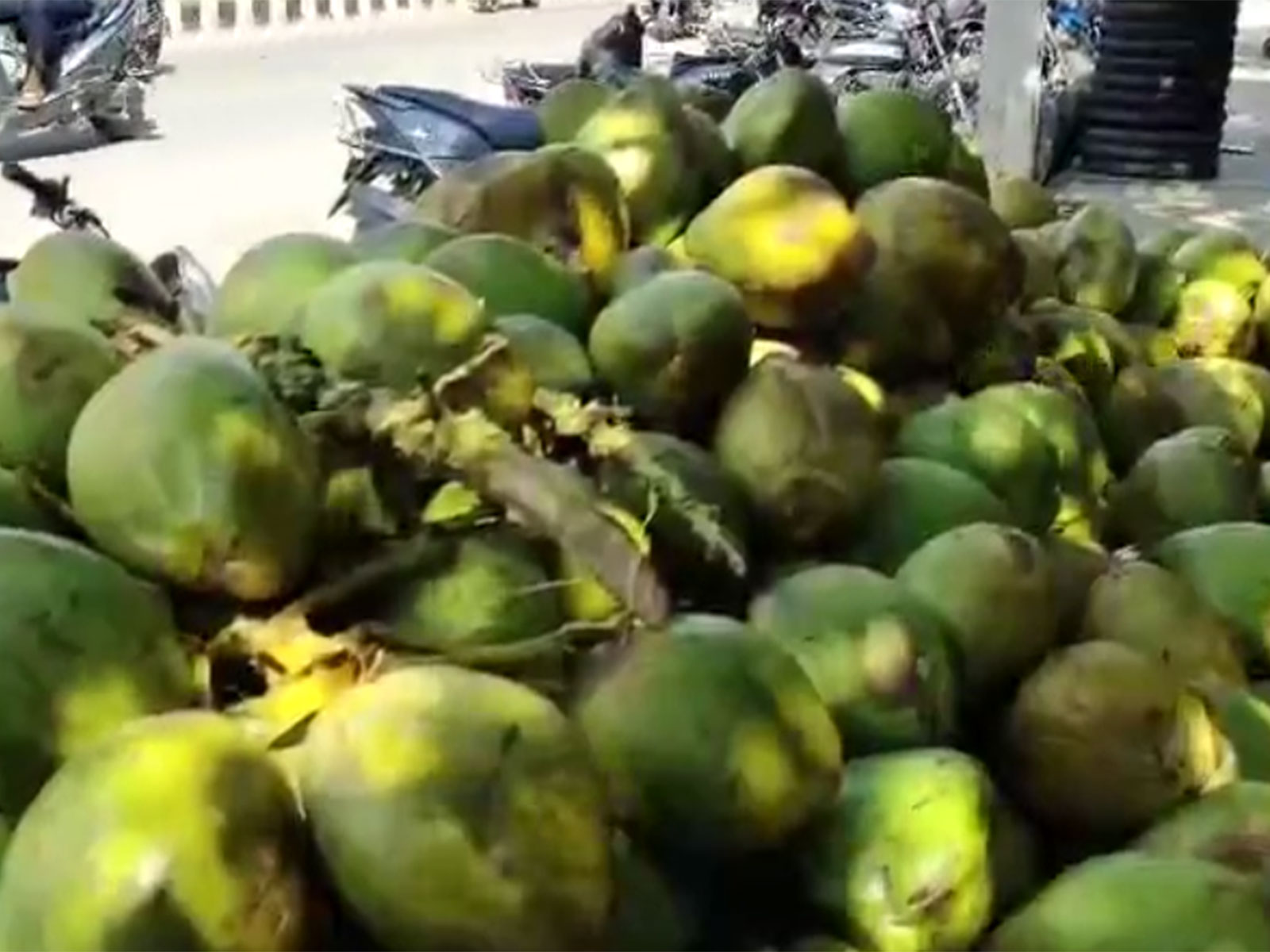 Tender coconut prices rise (Photo/ANI)