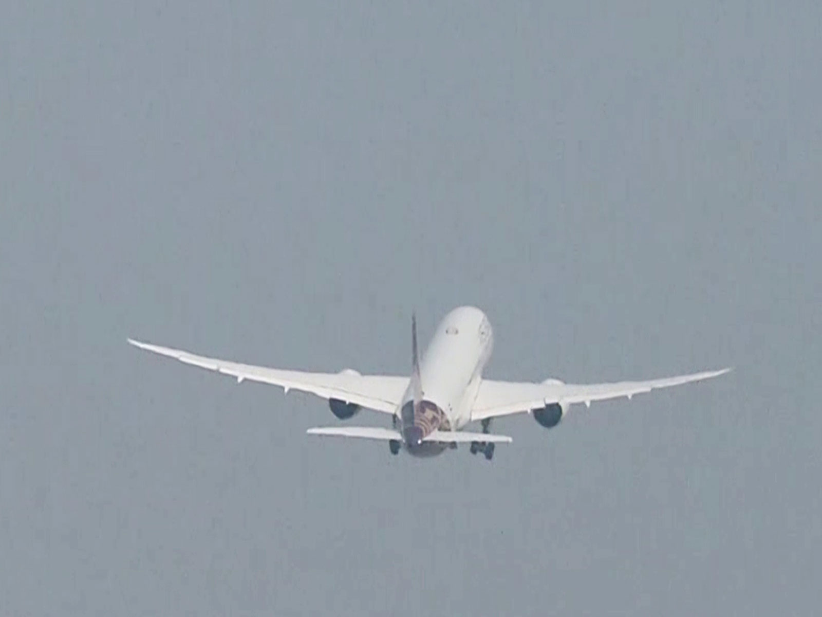 Air India flight (FIle Photo/ANI)
