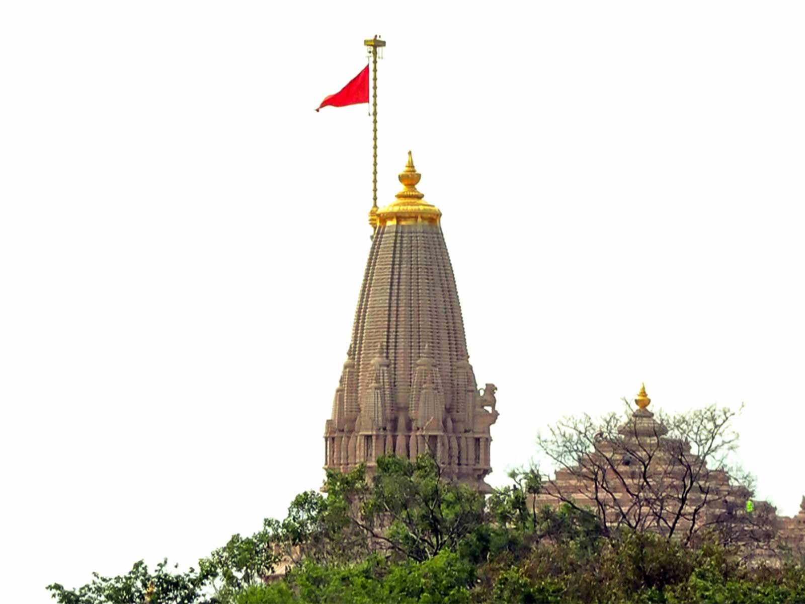 A view of the Ram Mandir (File Photo/ANI)