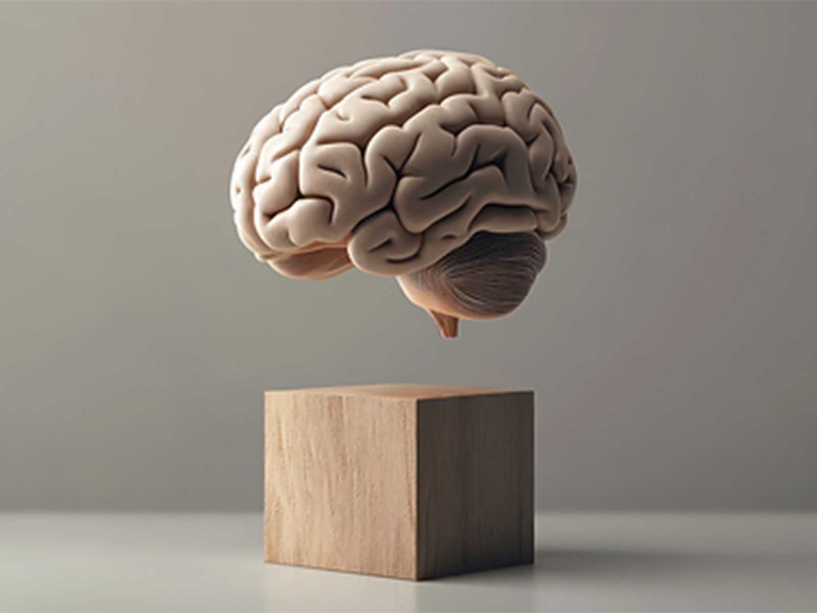 Symbolic image of the human brain