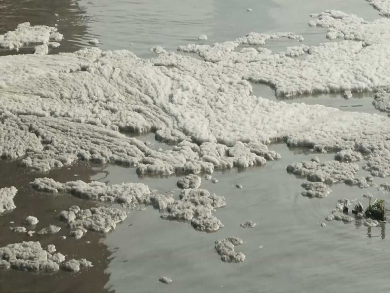Toxic foam  floating on the surface of the Yamuna River at Kalindi Kunj (Photo/ANI)
