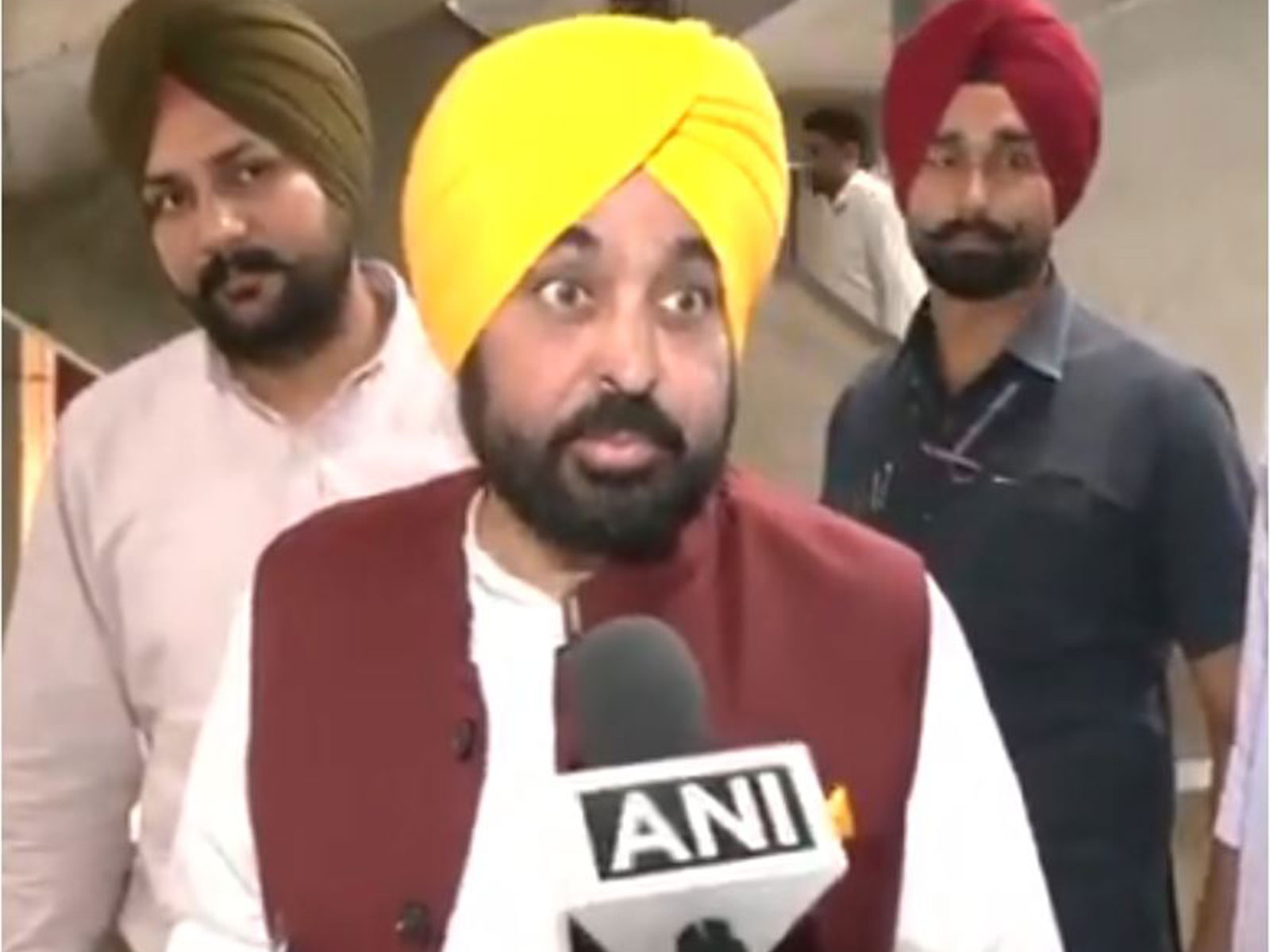 Punjab CM Bhagwant Mann (Photo/ANI)
