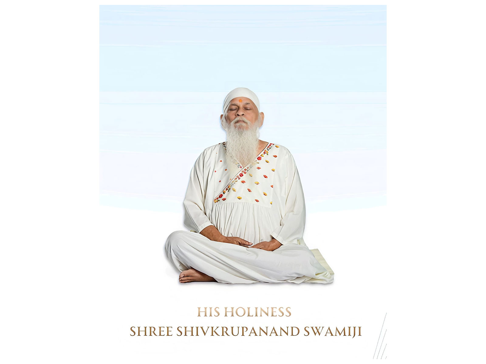 His Holiness H.H. Shree Shivkrupanand Swamiji