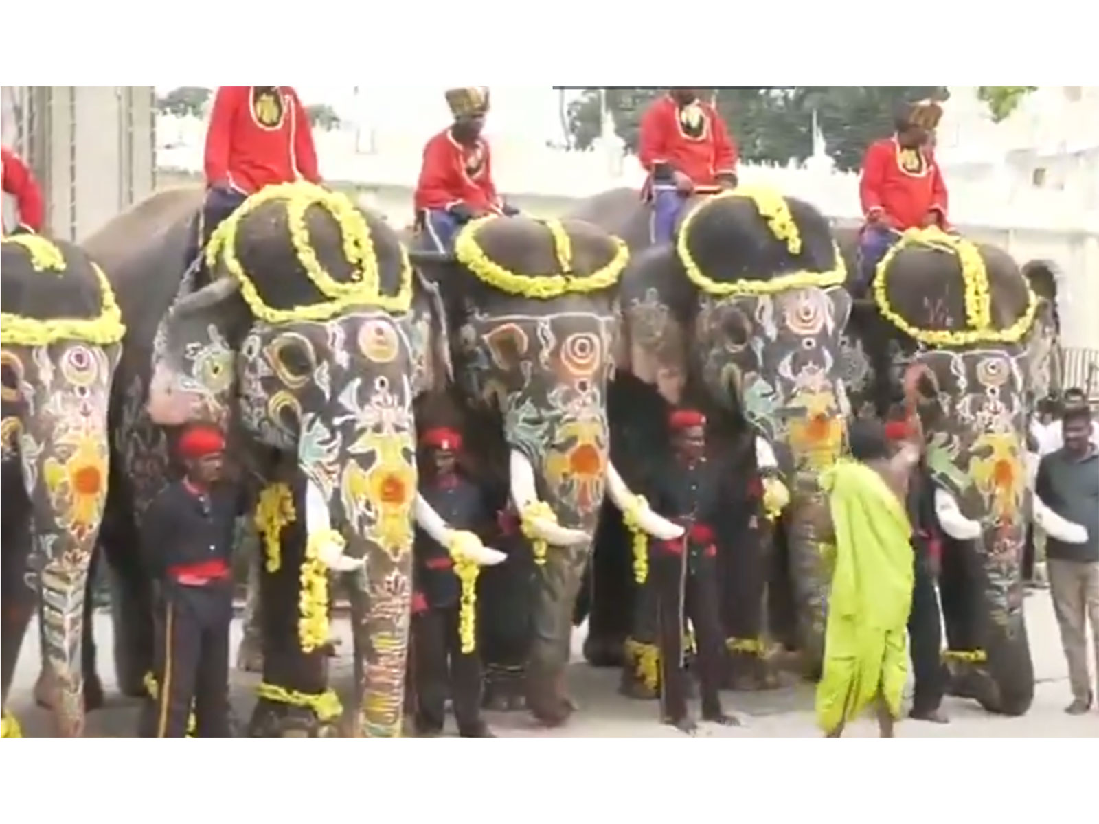 Puja performed as elephant squad prepares to return to forest (Photo/ANI) 