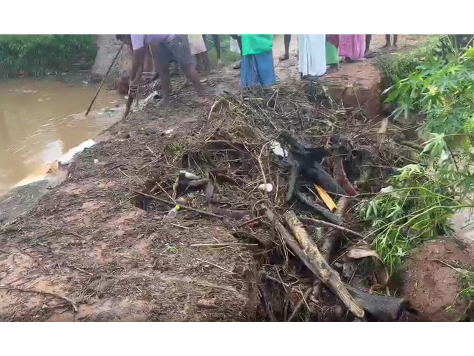  Temporary causeway bridge built by villagers washed away following sudden flash floods (Photo/ANI)
