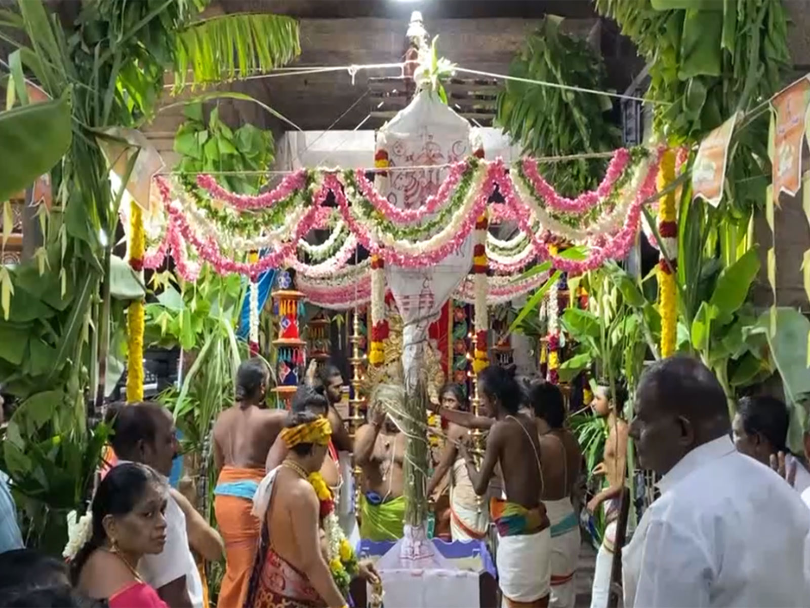 Aippasi Thirukalyanam celebration (Photo/ANI)