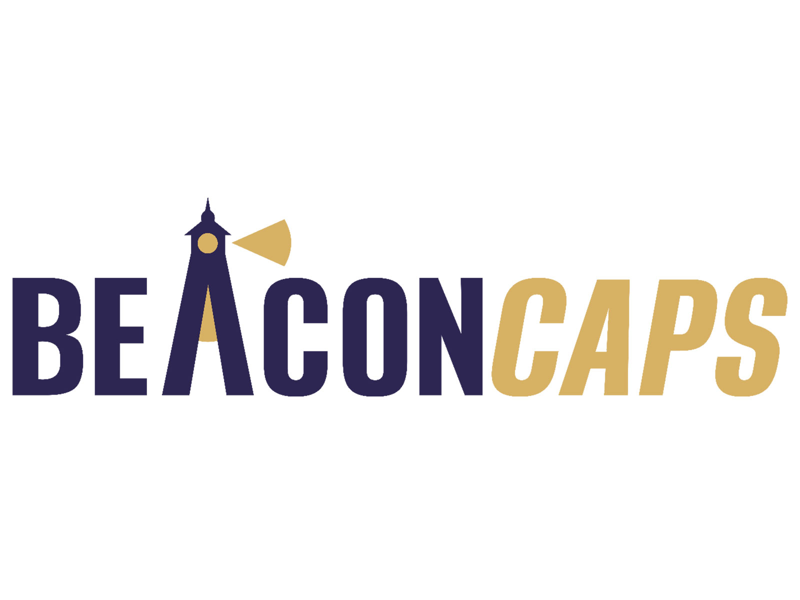Beacon Trusteeship Group launches BeaconCaps, research on India's SME market that shows its working