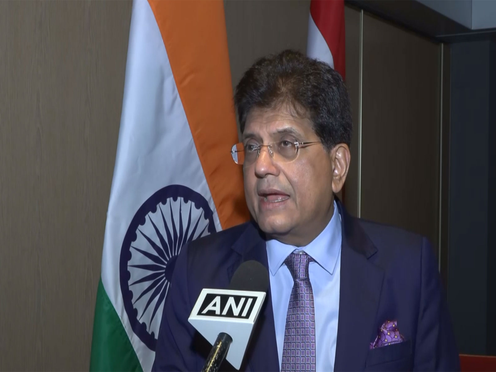 Union Minister Piyush Goyal (Photo/ANI)