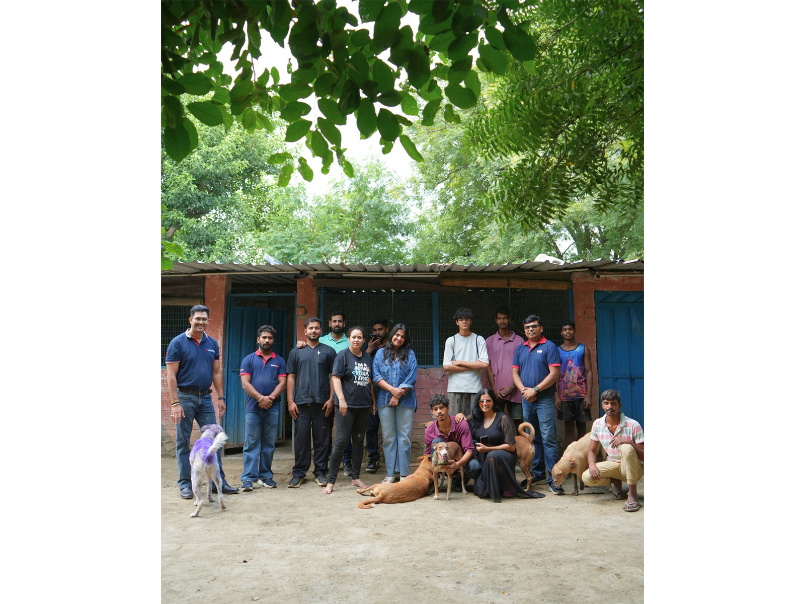 Zigly Foundation’s Community Feeding Initiative Crosses 5,000 Kg Mark, Reaching Dogs Across Shelters and Communities
