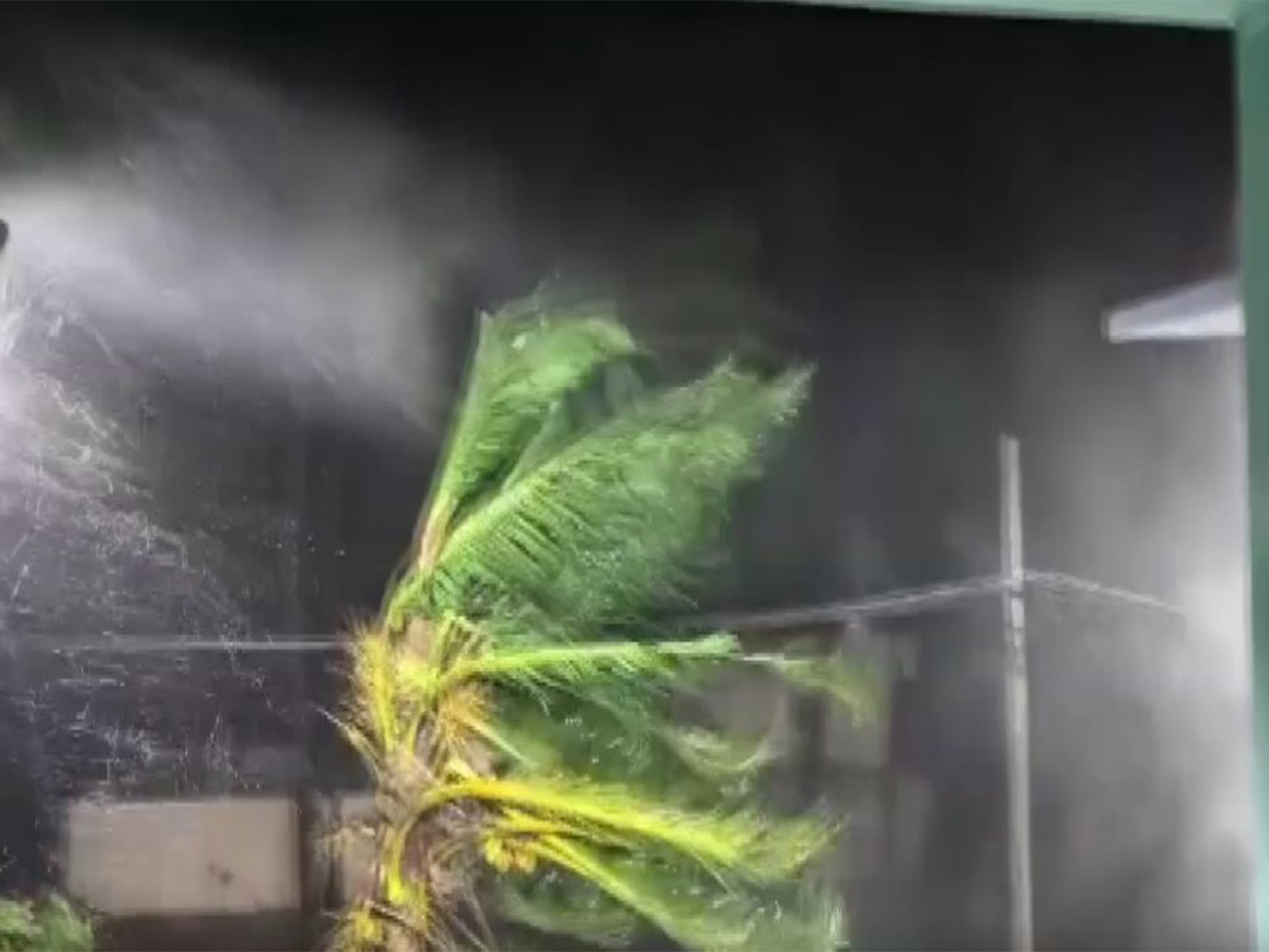 Visuals of strong winds triggered by Cyclone Arnab in Amalapuram, Andhra Pradesh (File Photo/I&PR) 