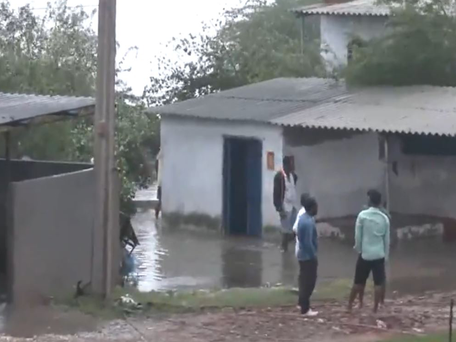 Strong winds uproot trees across Korangi area in Andhra Pradesh's Kakinada (Photo/ANI)