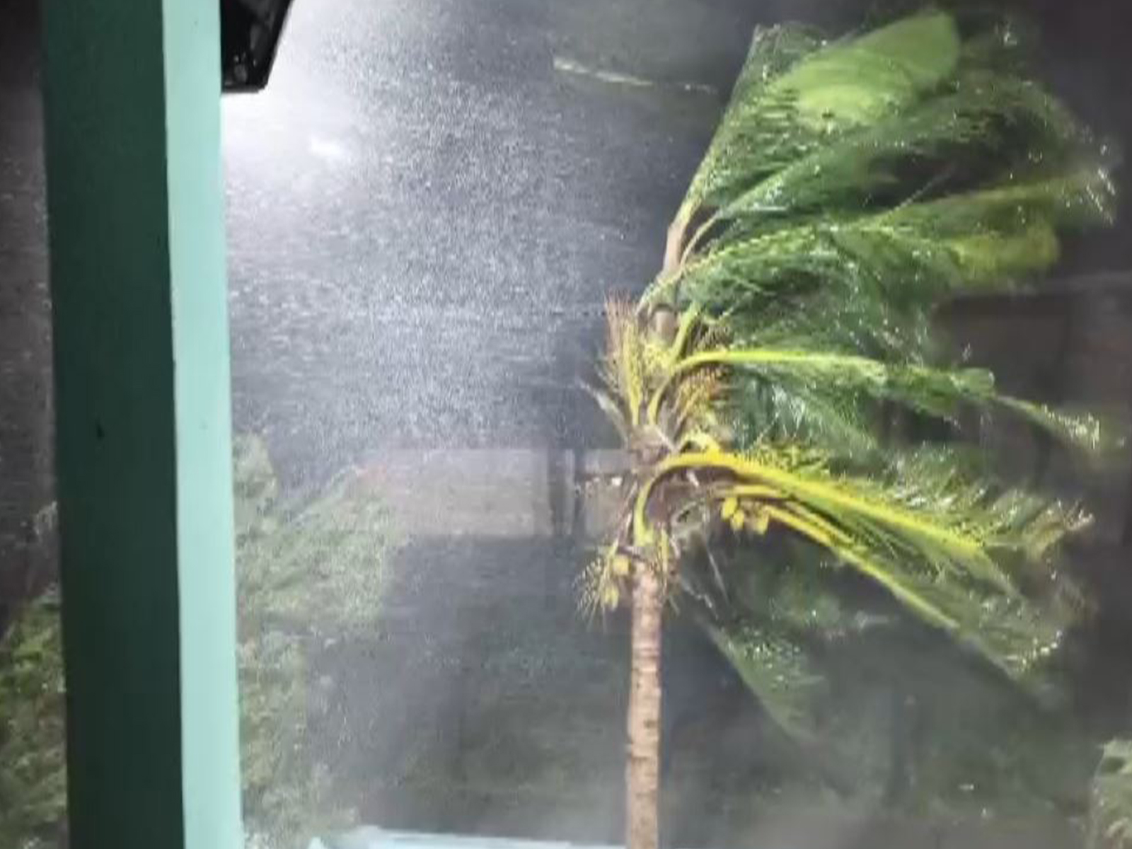 Visuals from Konaseema district show the impact of strong winds (Photo/I&PR)