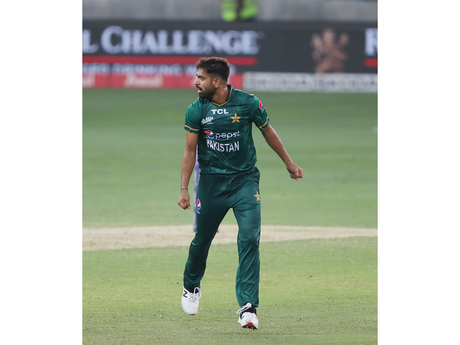 Pakistan's Haris Rauf (Photo: ANI)