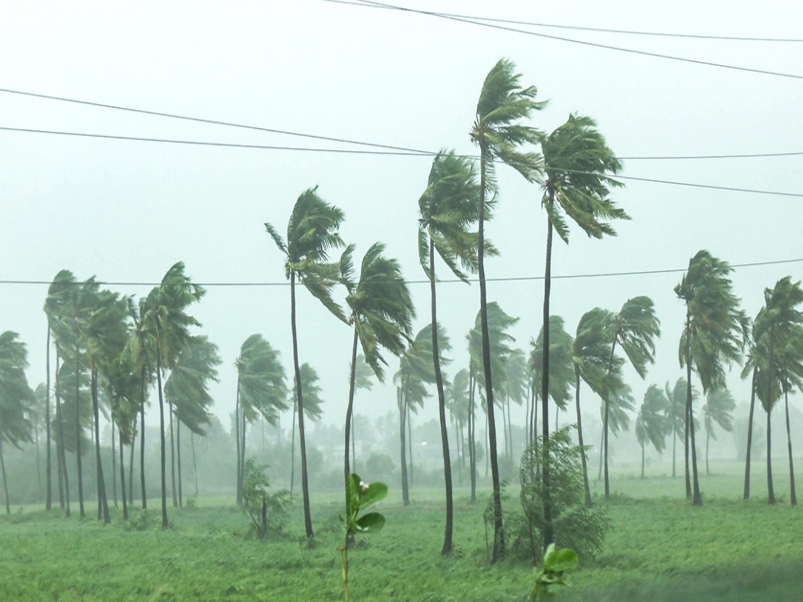Cyclone Arnab brings fierce winds in Andhra Pradesh (File photo/ANI)