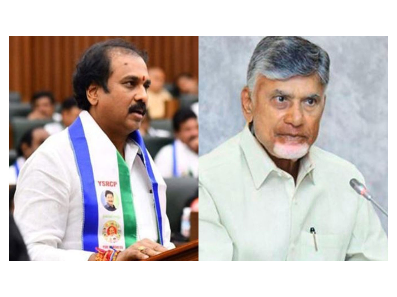 YSRCP Regional Coordinator Kurasala Kannababu and Andhra Pradesh Chief Minister (Photo/X/@kannababu_k/ ANI)