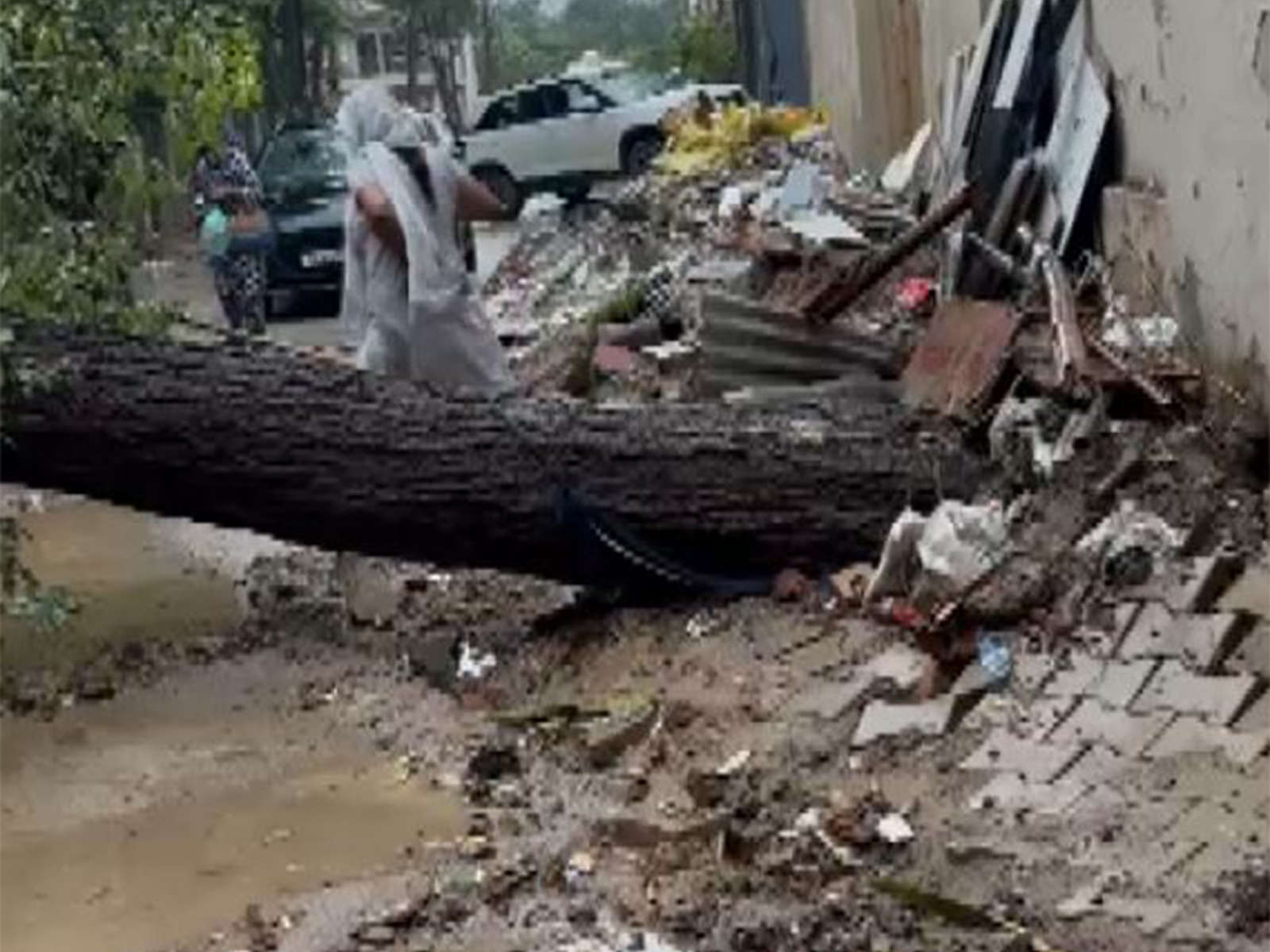 An uprooted tree lying in a residential area of Sector 46 in Gurugram following continuous rainfall (Photo/ANI)