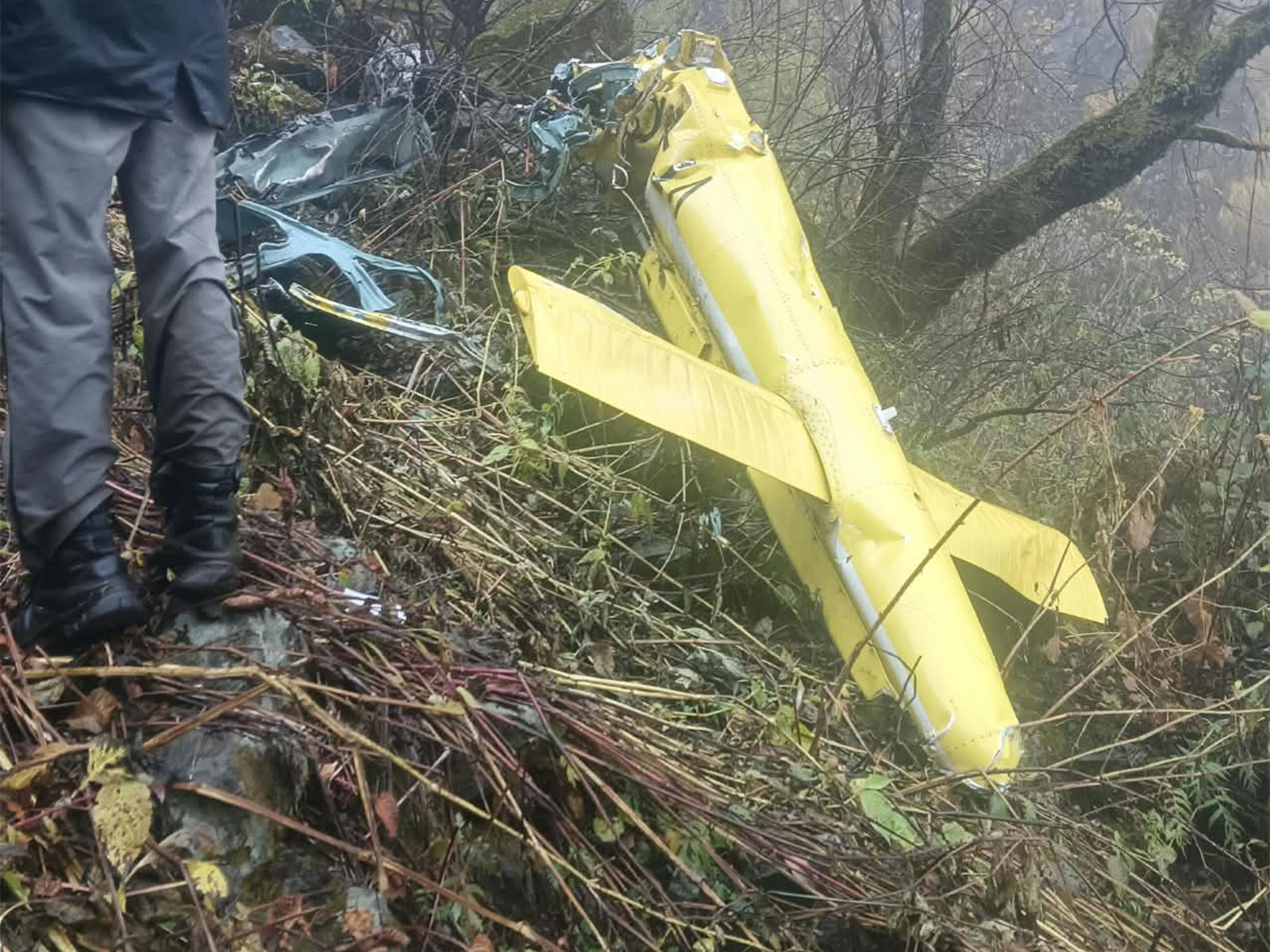 Visual from the site of crash (Photo/ANI)