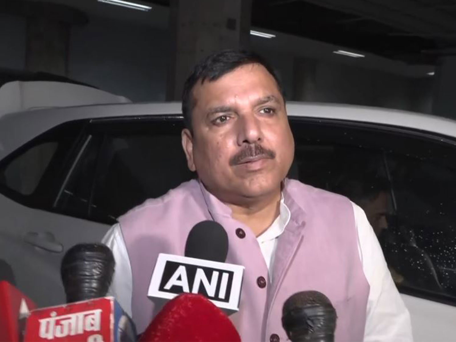 Aam Aadmi Party (AAP) leader Sanjay Singh (Photo/ANI)