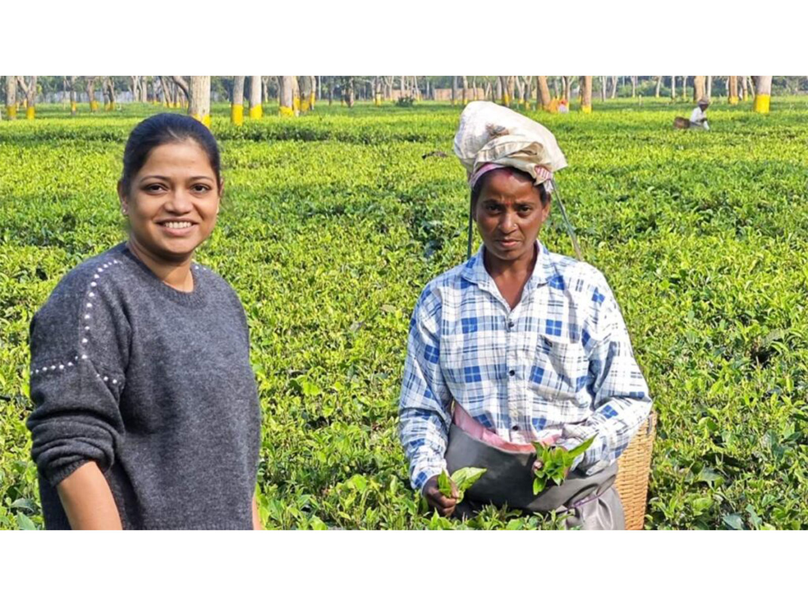 From rare whole-leaf teas and artisanal blends to cold brews and tea cocktail recipes, the Bengaluru-based brand is exploring what India's tea culture can become.