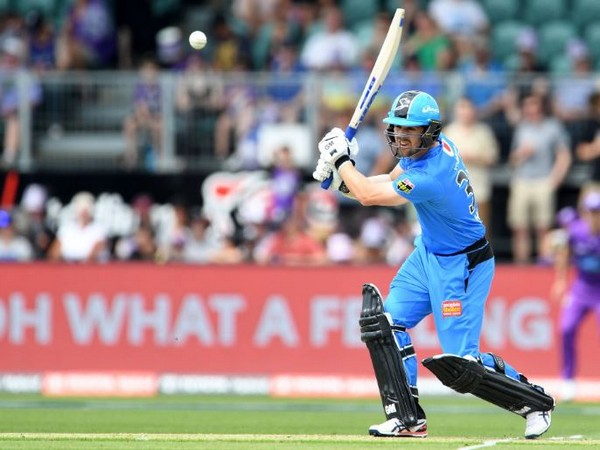 Adelaide Strikers' Travis Head (Photo/ Adelaide Strikers Twitter) Adelaide Strikers' Travis Head (Photo/ Adelaide Strikers Twitter)