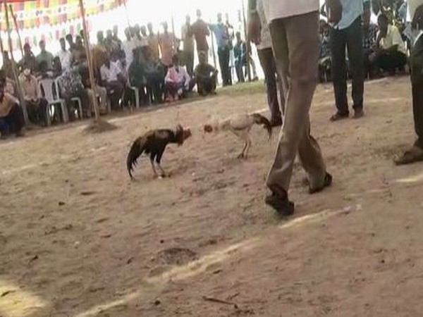 Visual from East Godavari(Photo/ANI) Visual from East Godavari(Photo/ANI)