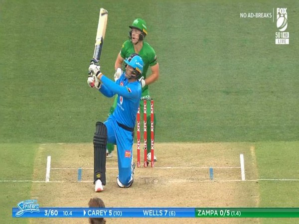 Adelaide Strikers' Alex Carey in action against Melbourne Stars (Photo/ Adelaide Strikers Twitter) Adelaide Strikers' Alex Carey in action against Melbourne Stars (Photo/ Adelaide Strikers Twitter)