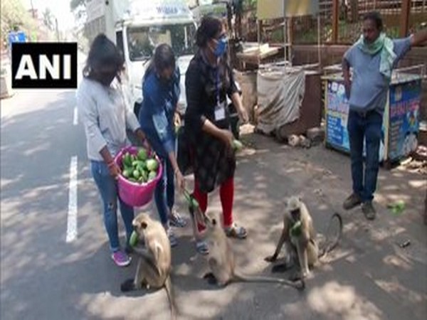 People for Animals (PFA) volunteers feed animals in Bhubaneswar during lockdown People for Animals (PFA) volunteers feed animals in Bhubaneswar during lockdown