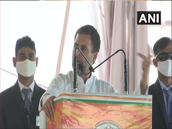 Congress leader Rahul Gandhi (photo/ANI) Congress leader Rahul Gandhi (photo/ANI)