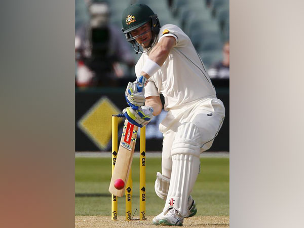 Australian cricketer Peter Nevill Australian cricketer Peter Nevill