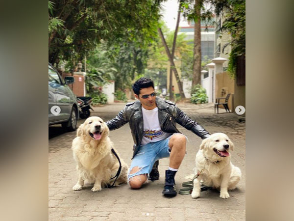 Varun poses with his doggos, gets cute reactions from celebs