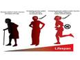 Researchers find better diet, glucose uptake in the brain lead to longer life in fruit flies - Vimarsana News
