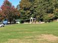 Irregularly shaped parks associated with lower mortality risk