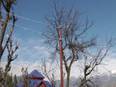 J-K's Doda village receives electricity for first time - Vimarsana News